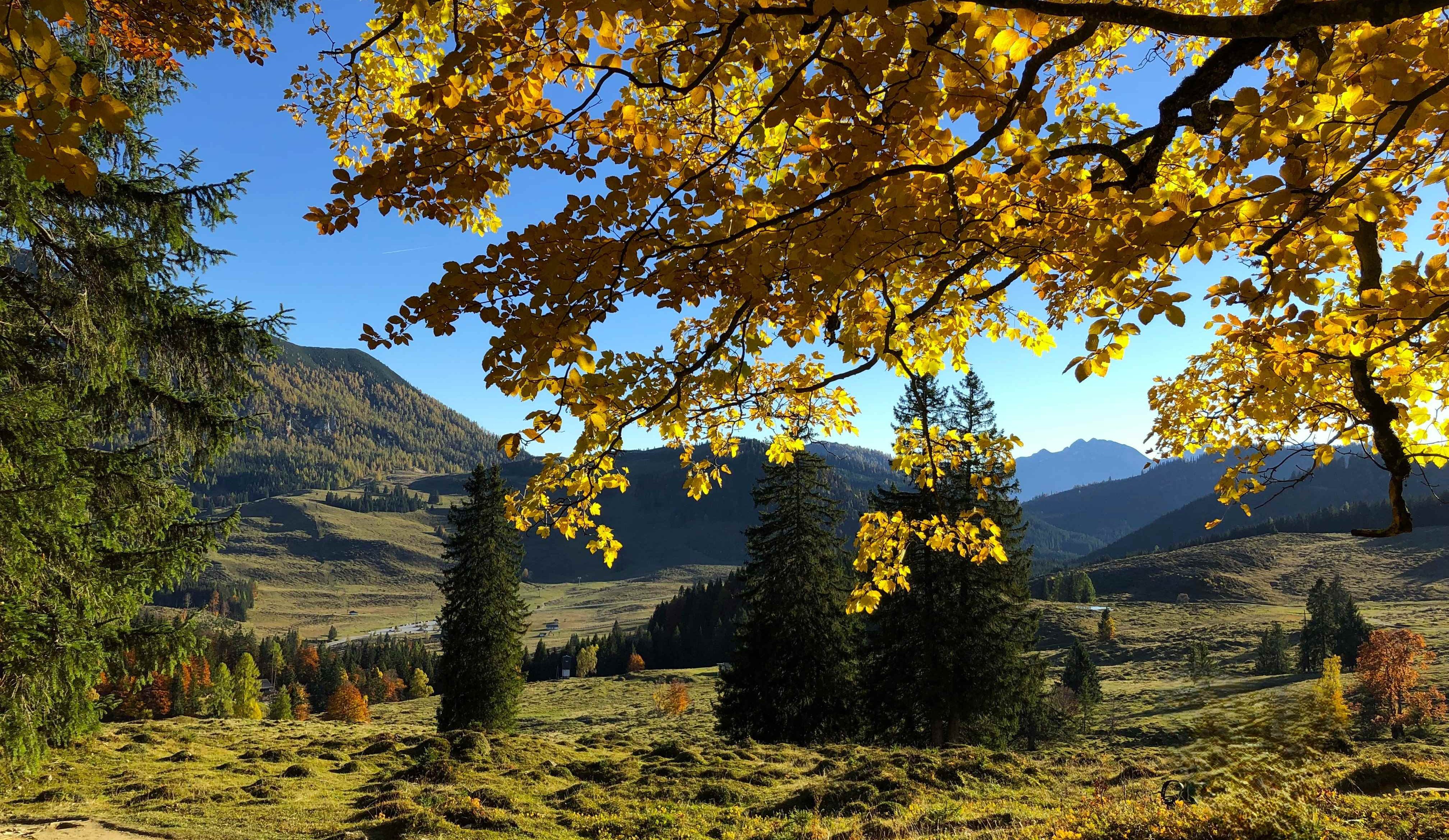 Pilgertage im Herbst